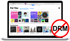 Apple Music Converter