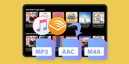 livre audio audible