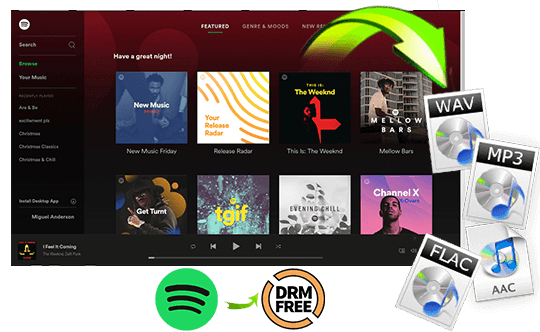 Convert Spotify Music