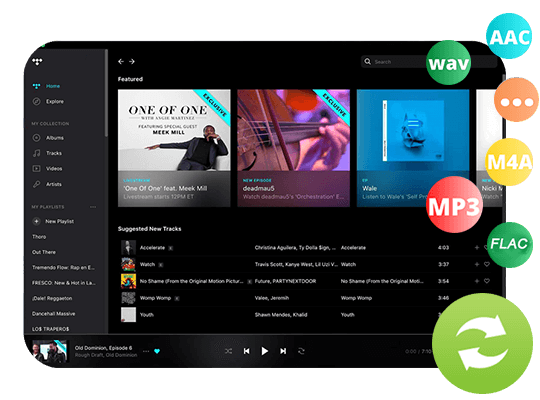 convert tidal music to mp3