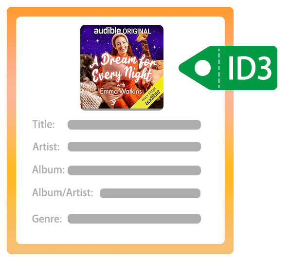 preserve audible id3 tag
