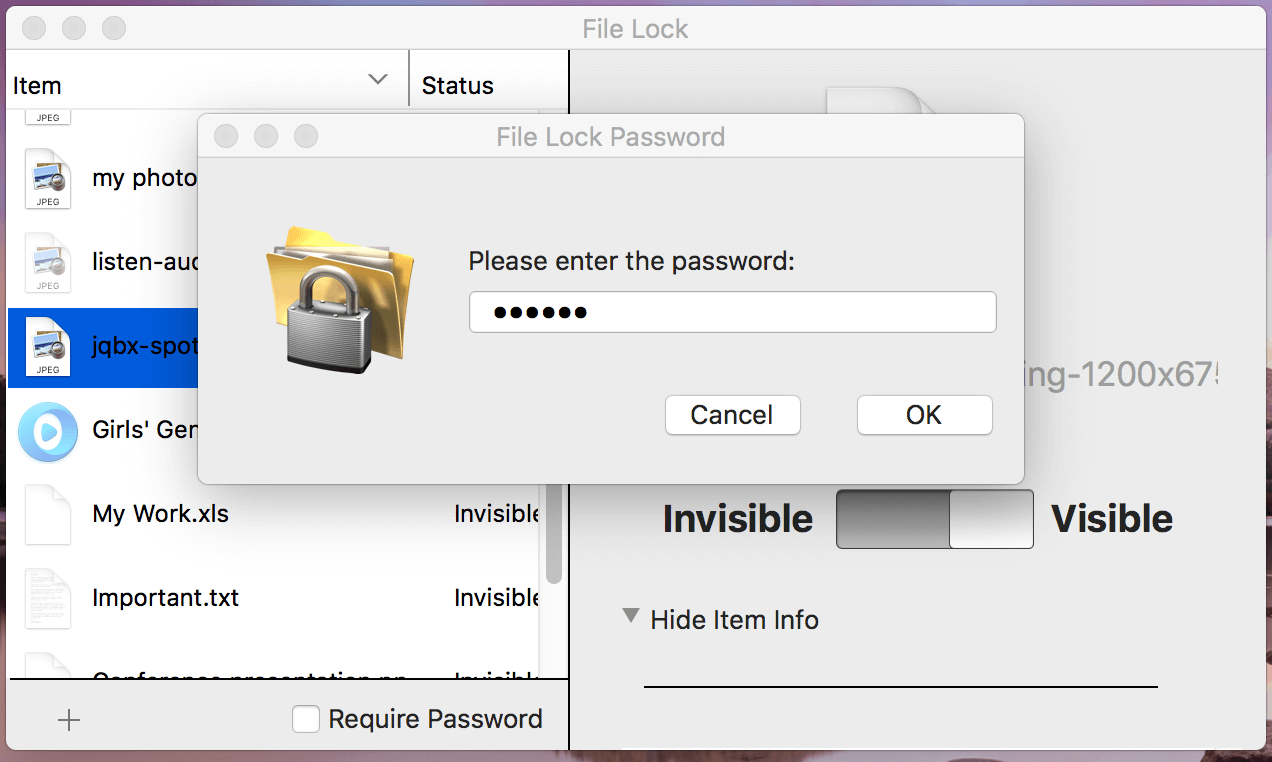 password protection