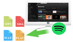 Spotify Music Converter