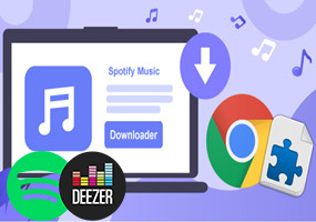 Spotify Deezer 音乐