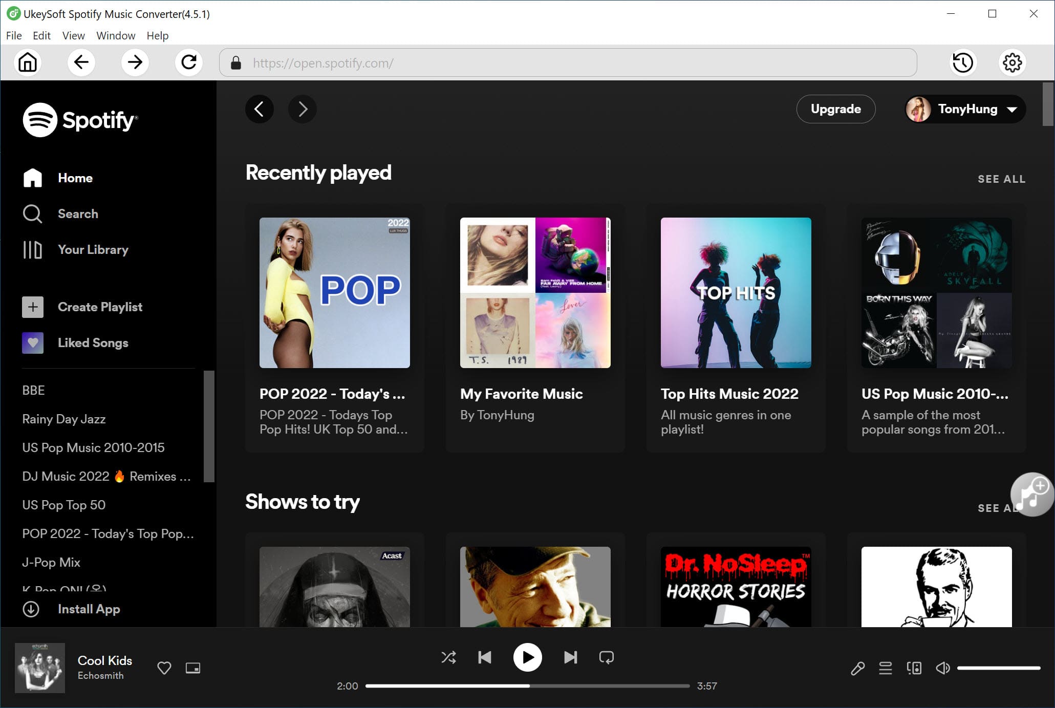 interface de download do spotify