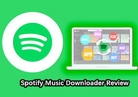 Spotify Downloader -arvostelu