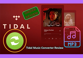 Best Tidal Music Converter