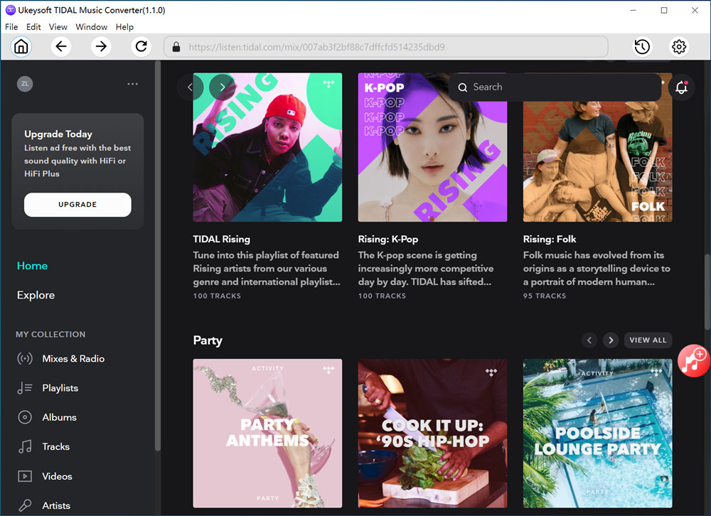 tidal music converter interface