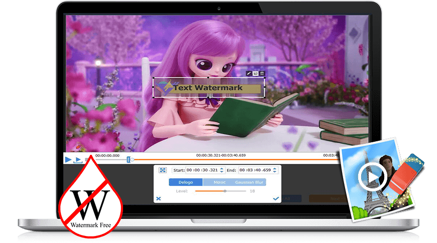 video watermark remover