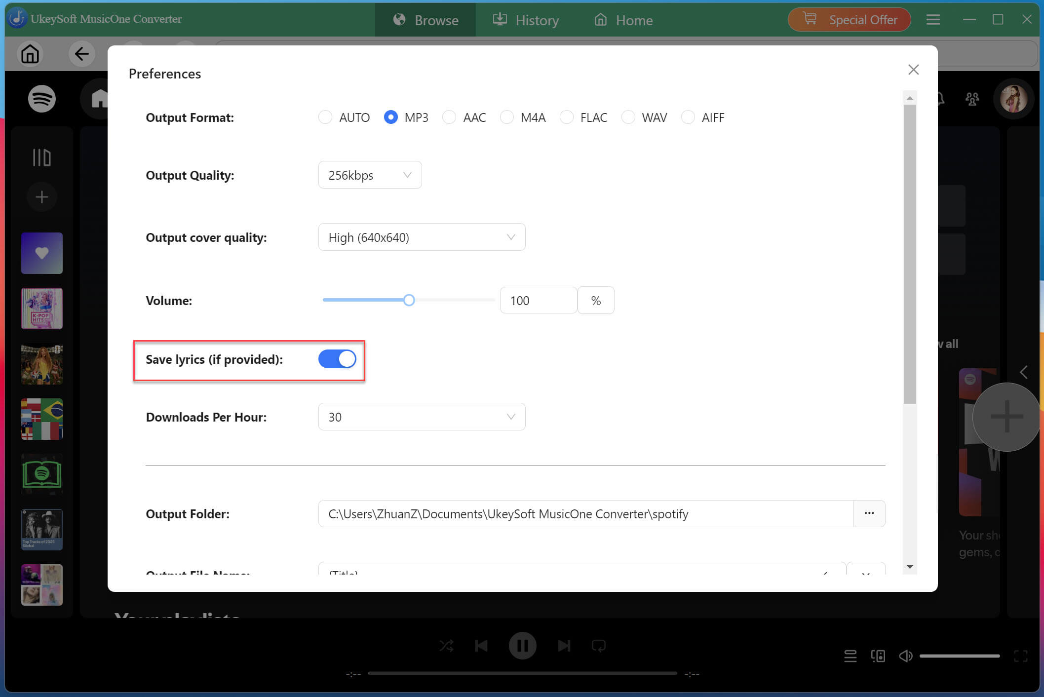 enable spotify lyrics button