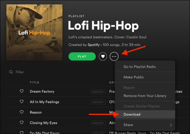 baixe a playlist do Spotify para o desktop com premium