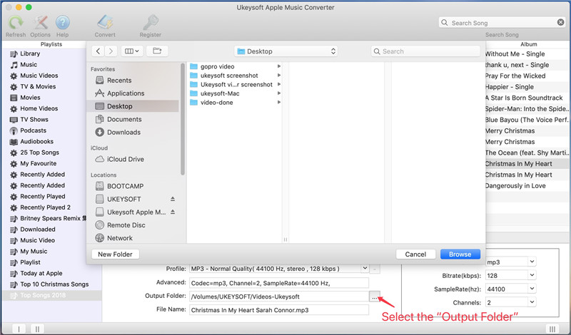 Set Output Path