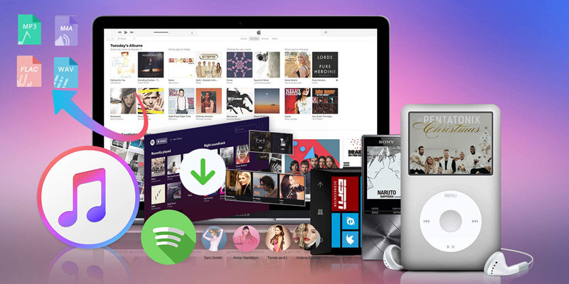 Apple Music Converter и конвертер Spotify
