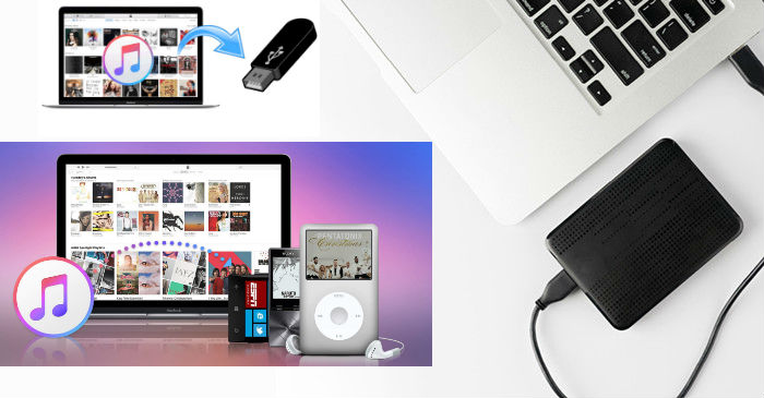 copy apple music files from mac to USB drives