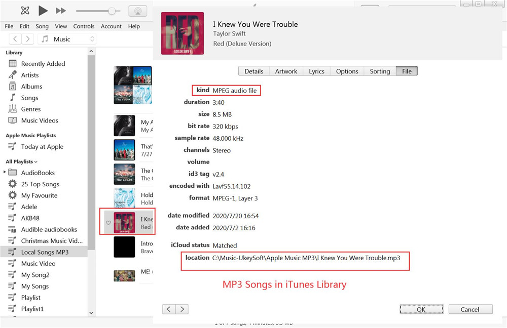 mp3 songs in itunes library