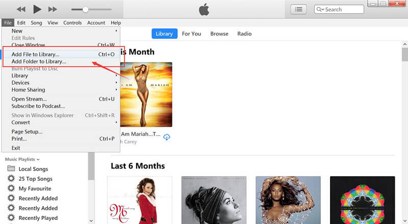 importare musica spotify su iTunes