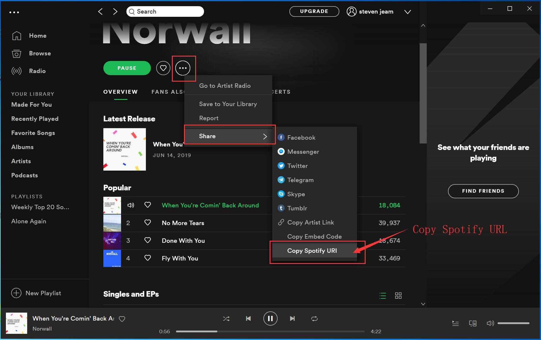 spotify URL'sini kopyala