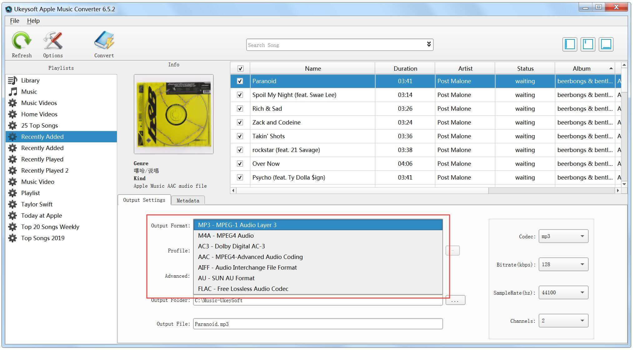 choose mp3 as output format