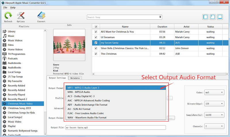 Select Output Audio Format