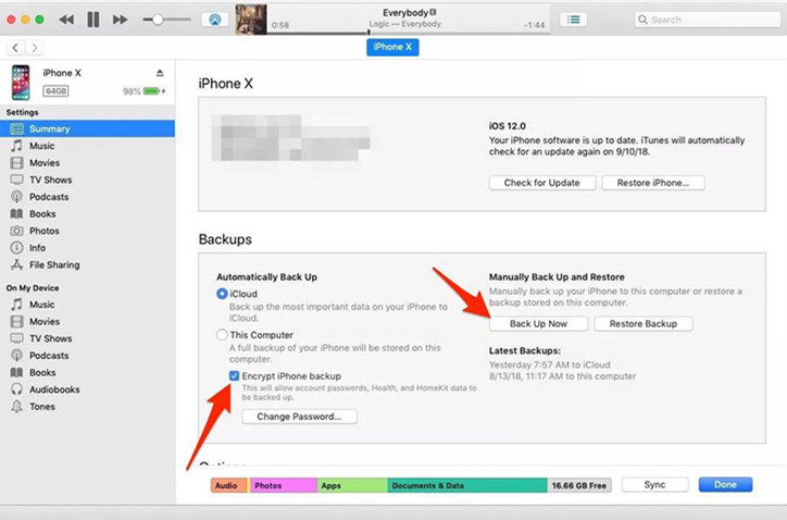 copia de seguridad de datos de iPhone con iTunes