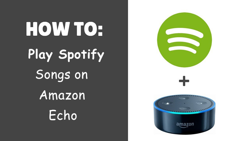 speel Spotify op Amazon echo