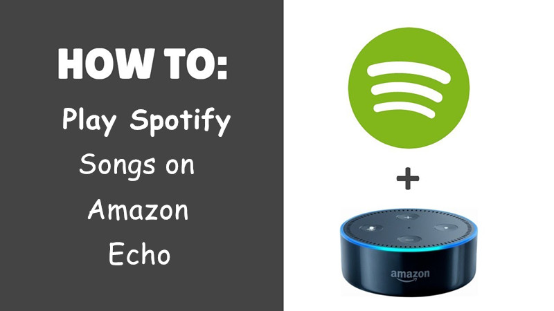 tocar spotify no amazon echo