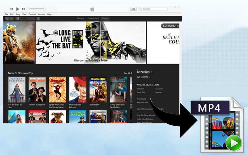 Konvertieren Sie iTunes gekaufte und geliehene Filme