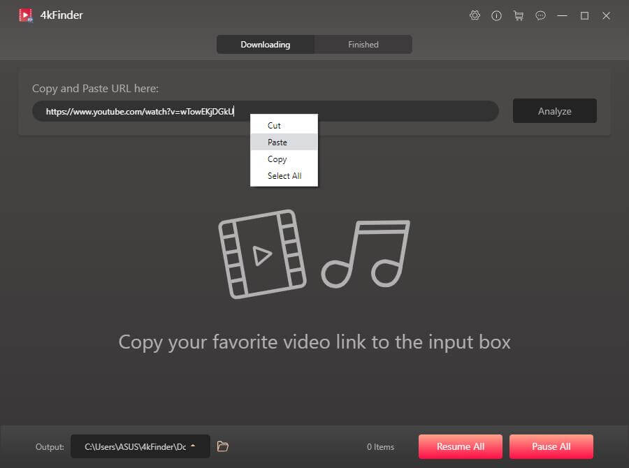 paste youtube music link
