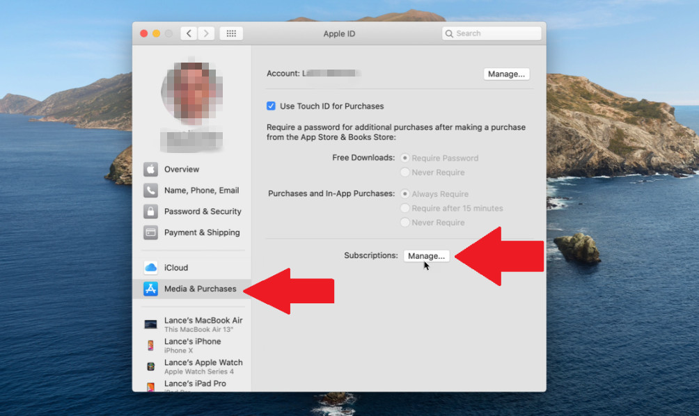 cancel apple music on mac catalina