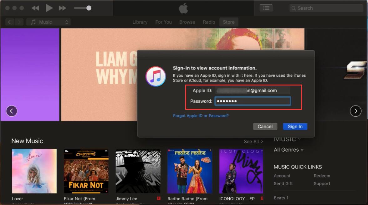enter apple id password
