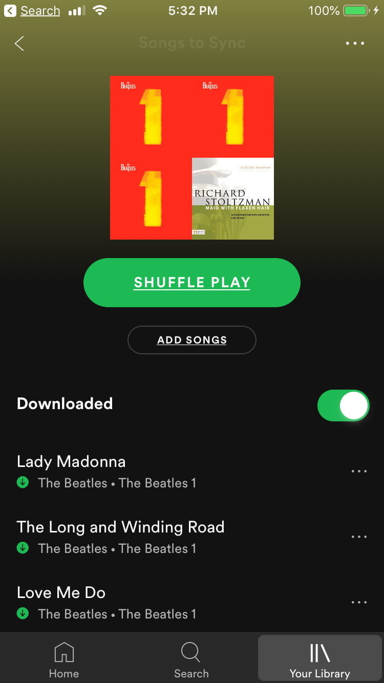 mobil uygulamayı spotify için yerel müzik ekle