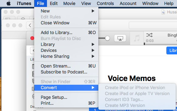usa iTunes para convertir notas de voz a mp3