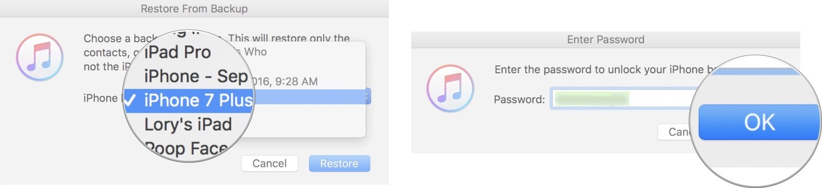 enter password to restore iPhone with iTunes