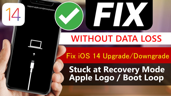 fix ios 14 vast in herstelmodus / opstartlus / Apple-logo