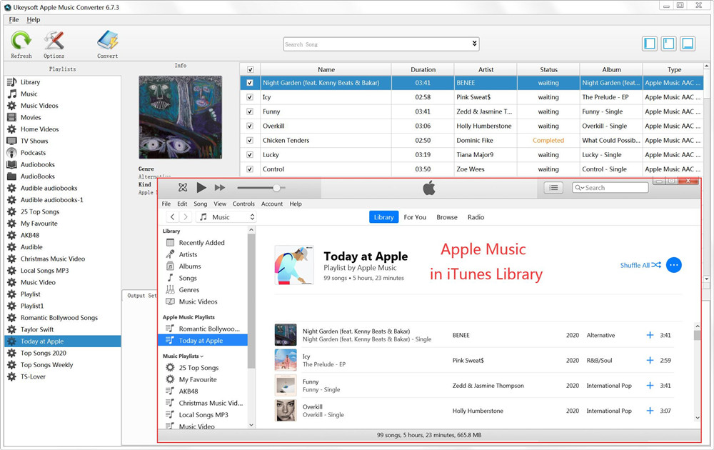 أضف موسيقى التفاح إلى iTunes وقم بتشغيل المحول