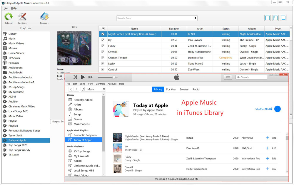 tambah muzik epal ke itunes dan pelancaran penukar