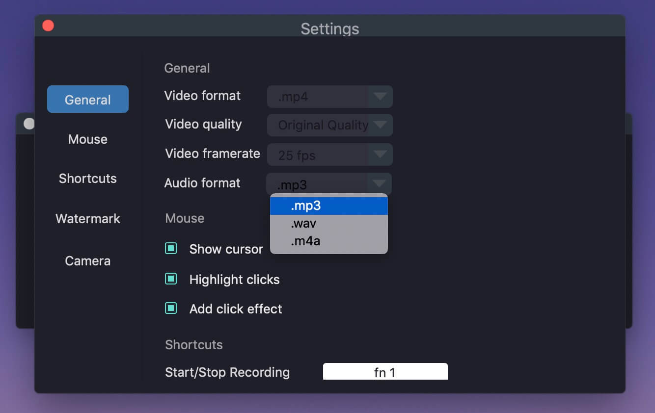 choose mp3 format
