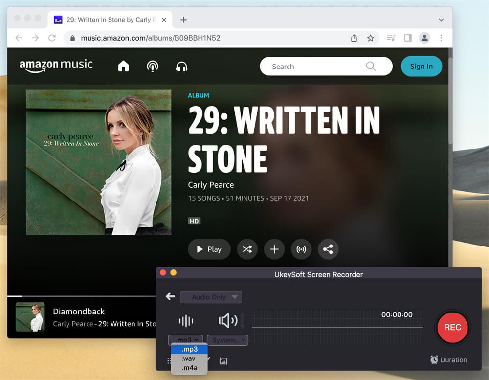 choose mp3 as output format