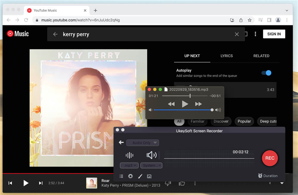 Reproduza o YouTube Music Offline