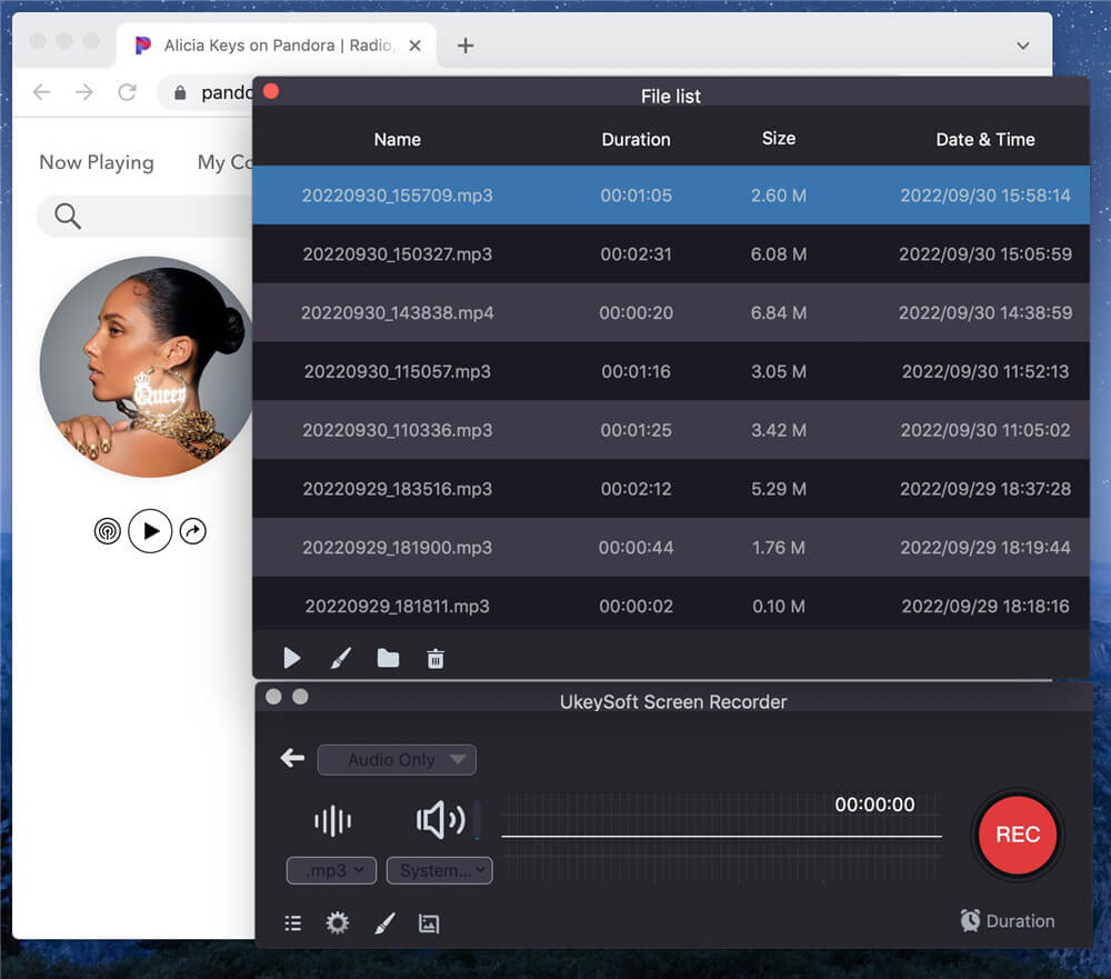 view the recorded file