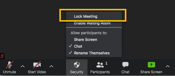 zoom lock reunião