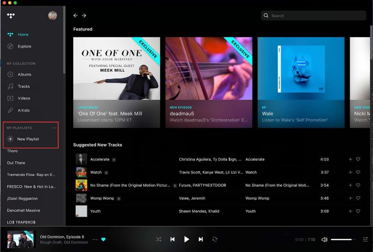 import Apple Music to Tidal