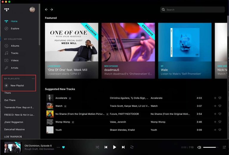 นำเข้า Apple Music ไปยัง Tidal