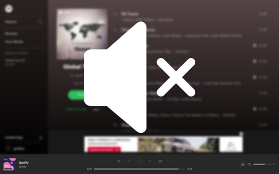 ลบโฆษณาบน spotify web player