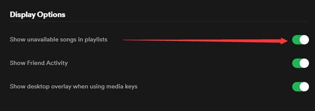 Display options on Spotify desktop app