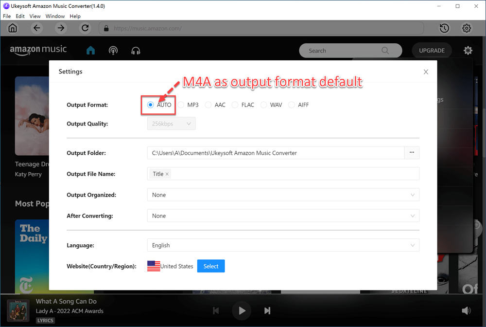 select mp3 format