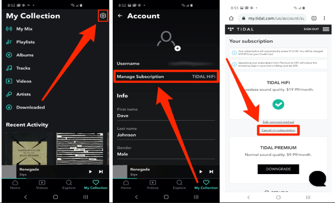 cancel Tidal subscription on mobile