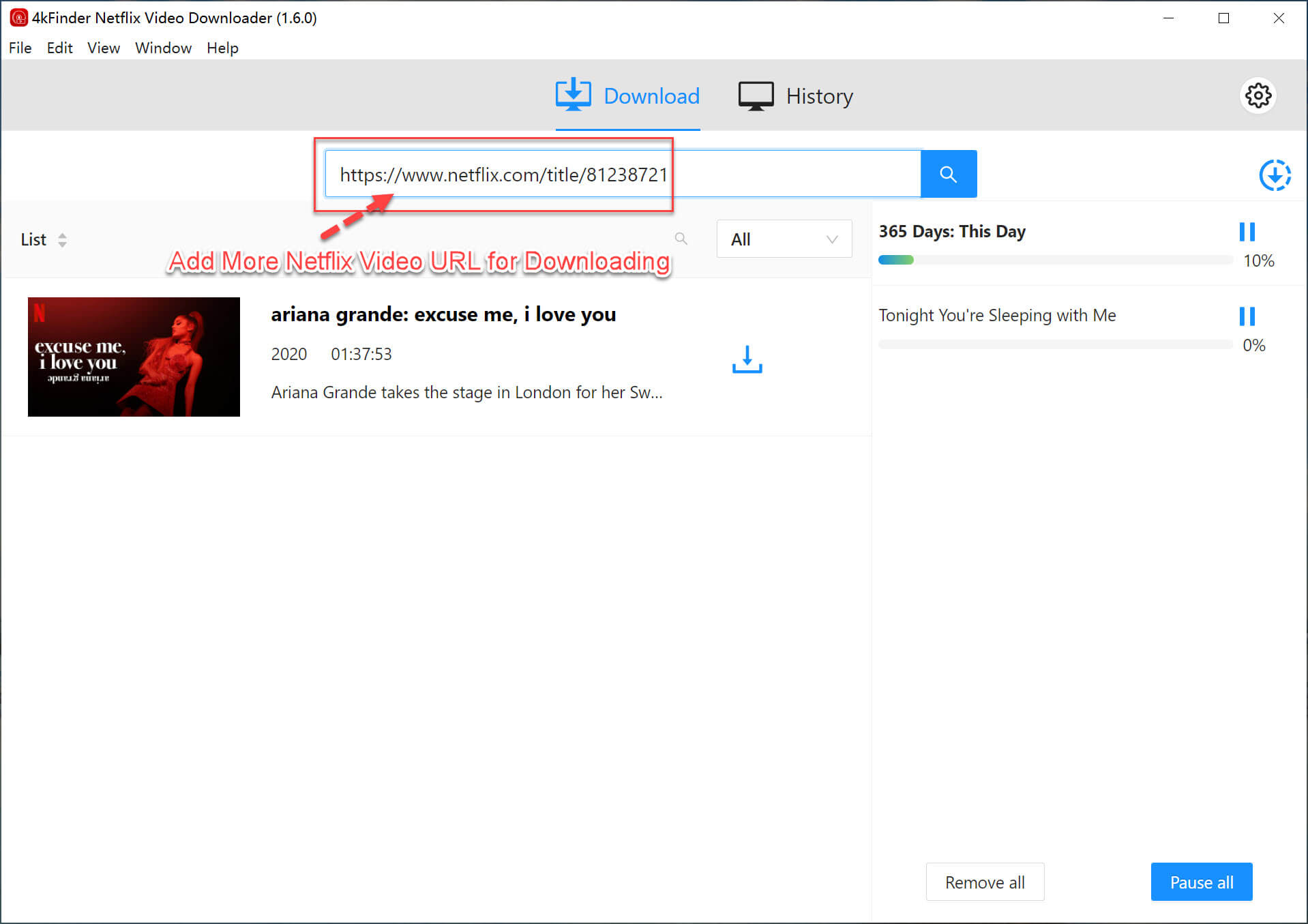 download netflix movie to mp4