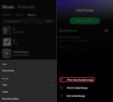 localiser spotify sur mobile