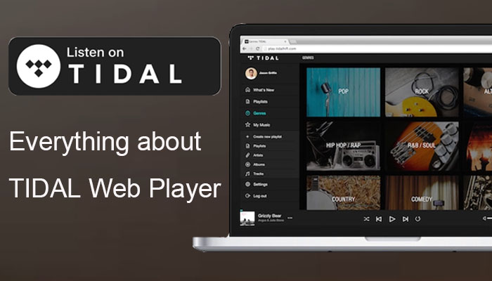 tudo sobre o tidal web player